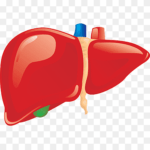 liver warning