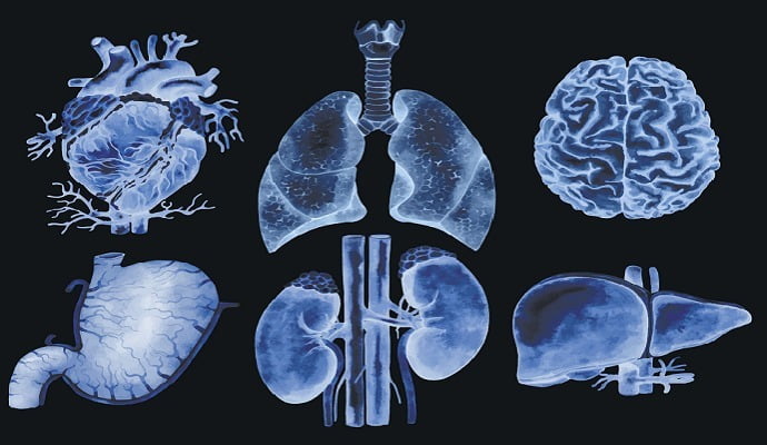 Organ Transplant