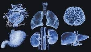 Prevention of organ rejection in transplant patients