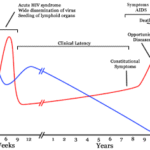 A Comprehensive Guide to Understanding AIDS: Step by Step Information
