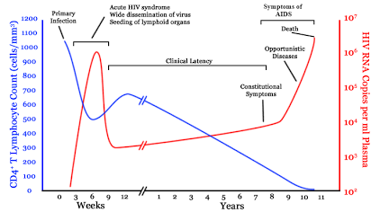 A Comprehensive Guide to Understanding AIDS: Step by Step Information